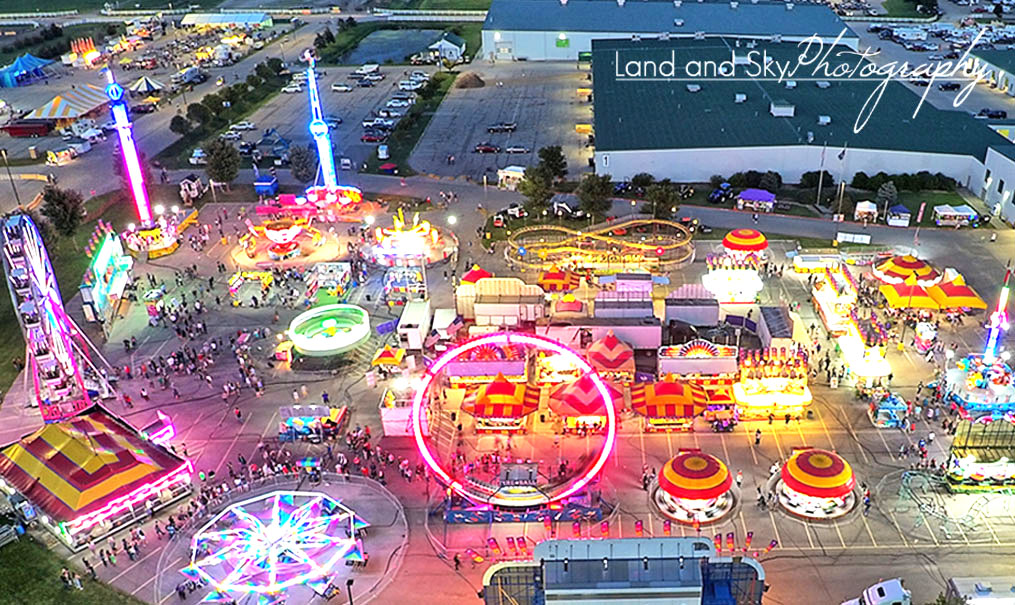 Aussie Kingdom petting kangaroo