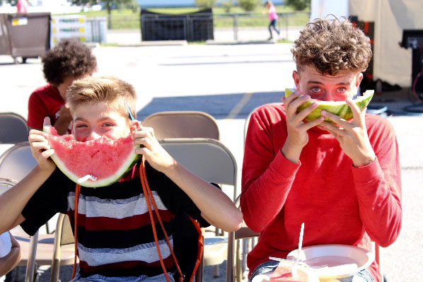 Aussie Kingdom petting kangaroo